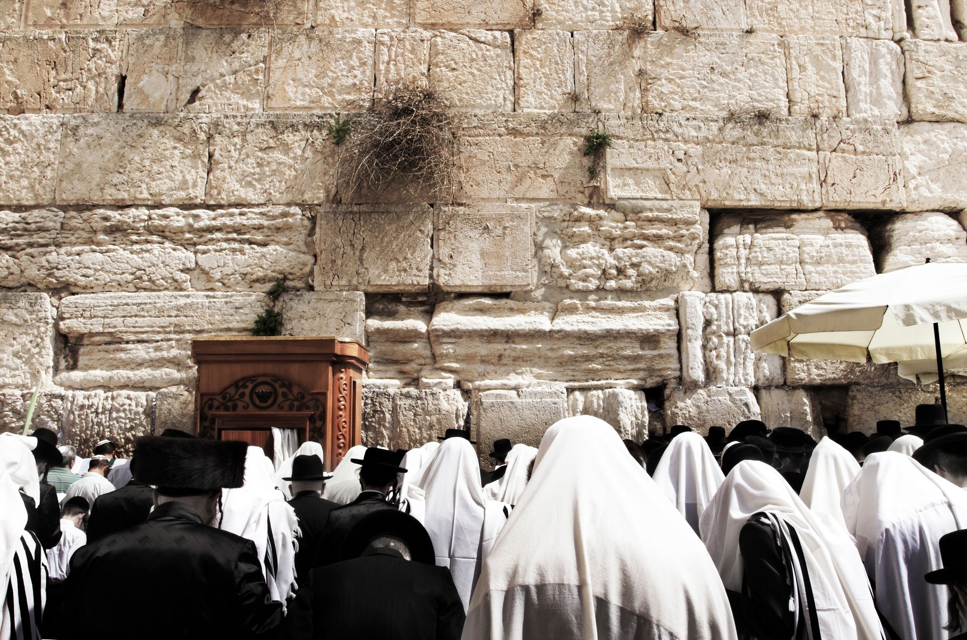 Orthodox jews praying in the Wailing Wall